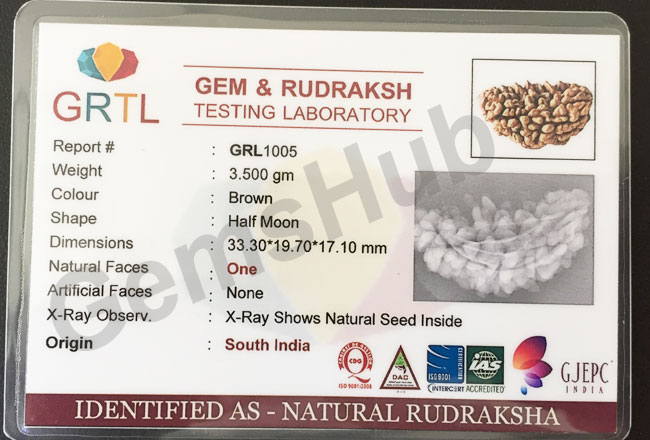 1 Face/Mukhi Certified Rudraksha Premium Quality